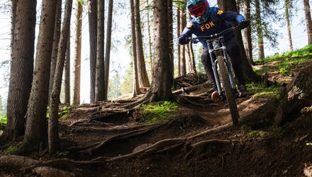 Rooty trail | © © Serfaus-Fiss-Ladis Marketing GmbH Rooty trail | © © Serfaus-Fiss-Ladis Marketing GmbH